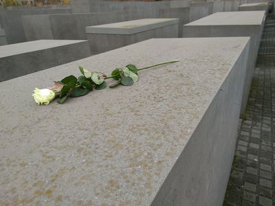 Stelenfeld blog Berlin3